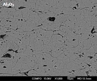 Microstructures of as-sprayed Al2O3 Coatings.