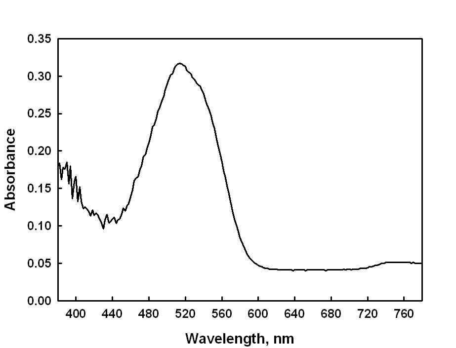Targer E(p)의 UV-Vis Spectrum (λ : 514 nm)