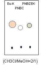 PNBzEK TLC Result