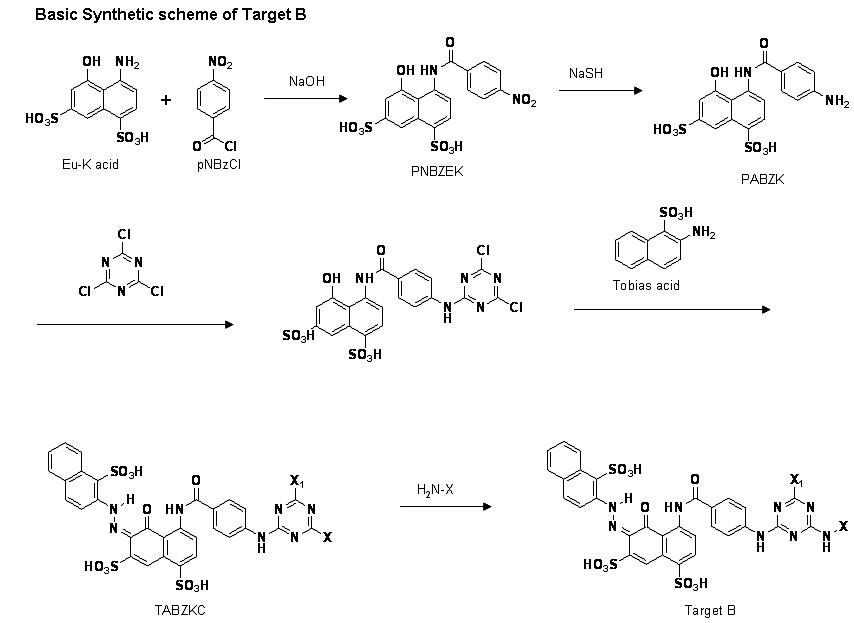 Target B Synthetic Scheme