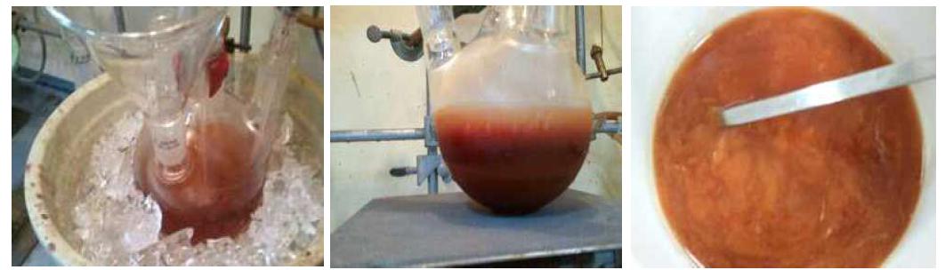 H-acid & CNC 1st Condensation Reaction