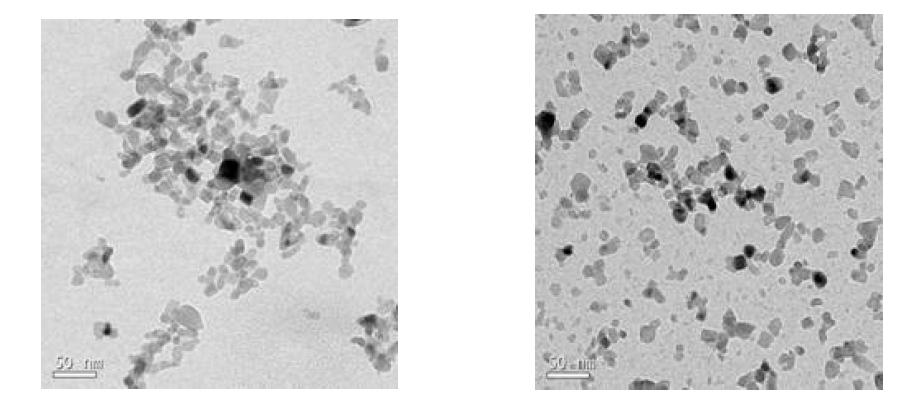 습식분산공정을 활용한 TiO 나노입자의 분산 전(좌)과 후(우)의 TEM이미지