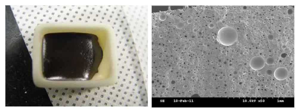 Glass frit 과 Zr2WP2O12 혼합물을 450℃까지 가열되었을 때, 얻어진 시편의 미세 조직