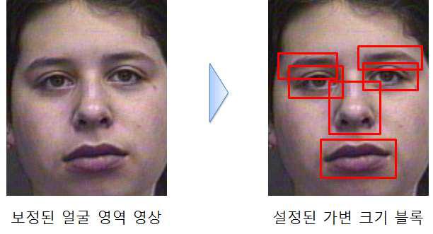 얼굴 특정영역에 설정된 가변 크기 특징 블록