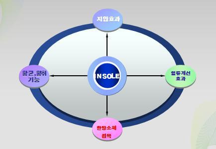 고령친화형 Insole Concept