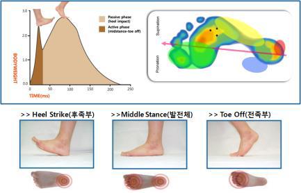 생체역학적 성능평가 족저압력 분석