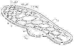 공기순환 기능을 갖는 지압용 신발깔창(Shoes insole for acupressure having a function of air circulation)