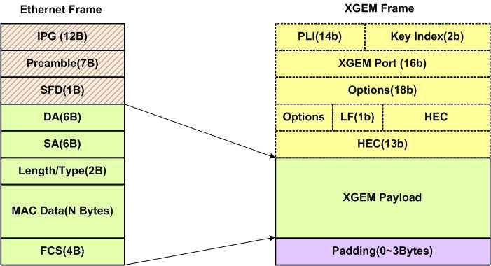 XGEM frame format