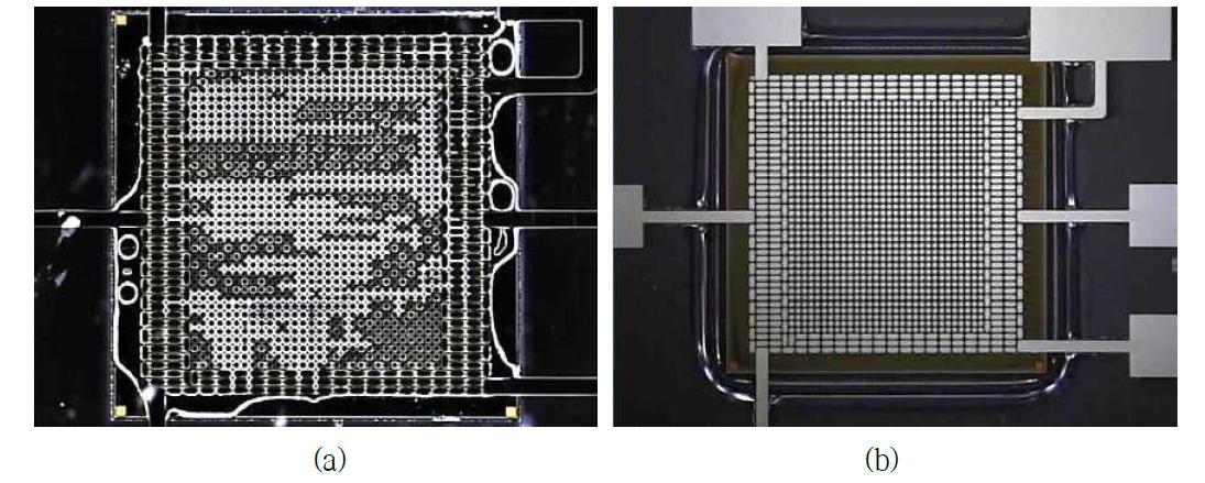(a) No flow underfill process를 이용하여 flip chip 조립 후 범프사이에 남아있는 Void의 저배율 현미경 사진, (b) 진공중에서 에이징을 거쳐 Void를 제거하여 void 없이 언더필이 충진된 모습.