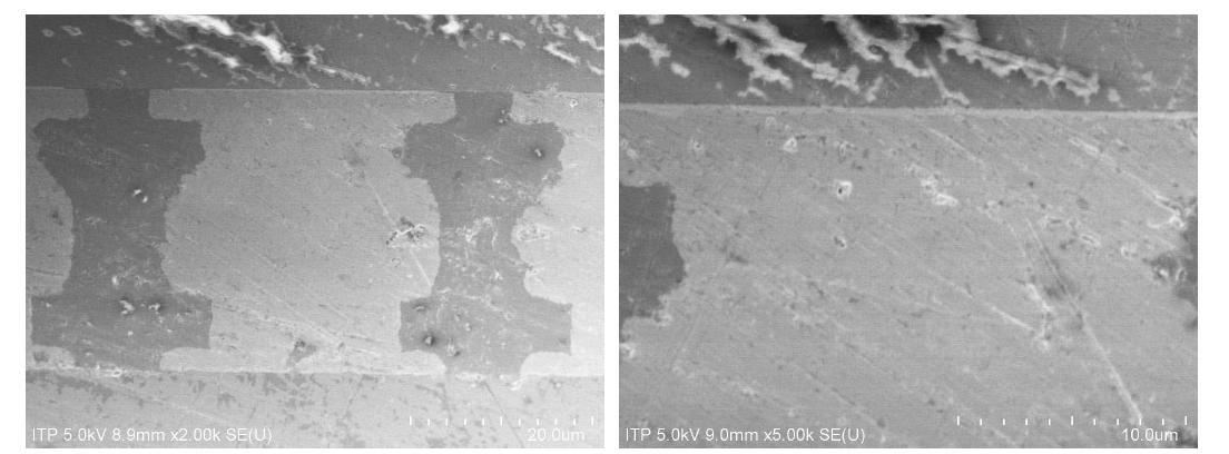 Thermal cycling을 500회 한 시료의 범프의 단면 사진