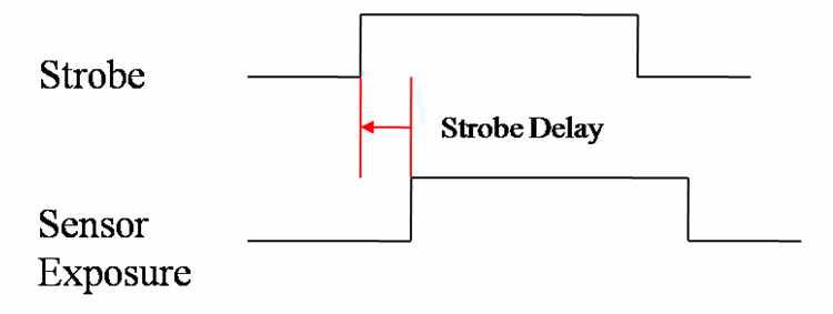 Strobe Delay 기능