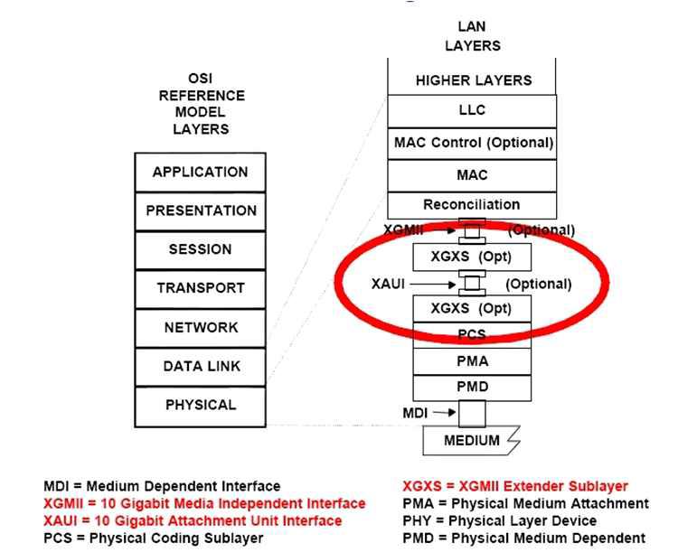 10 Gigabit Ethernet Layer Model