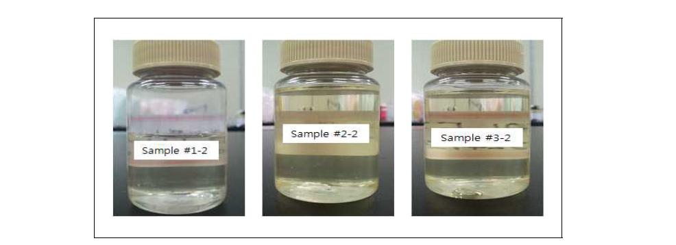 첨가제(sorbitol) 첨가 제조된 리포좀 사진