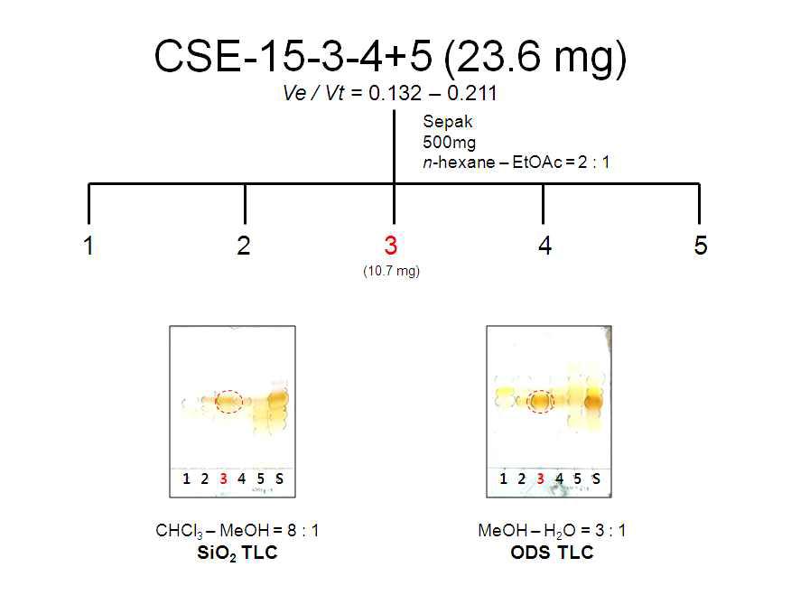 CSE-15-3-4+5의 분리