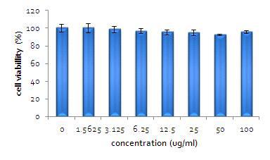 Corn Stalk 추출물 중 Ethyl Acetate 추출물의 세포 활성 실험 결과