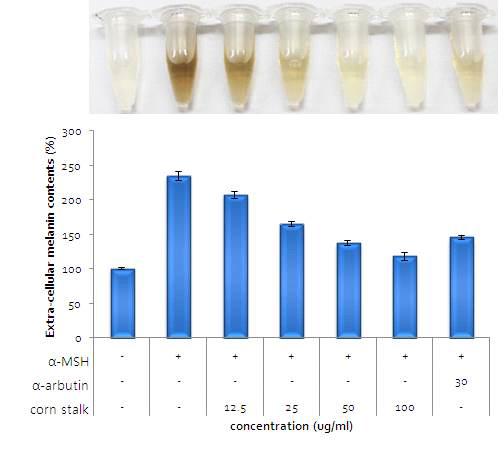 Corn Stalk 추출물 중 Ethyl Acetate 추출물의 세포 외 Melanin contents 측정