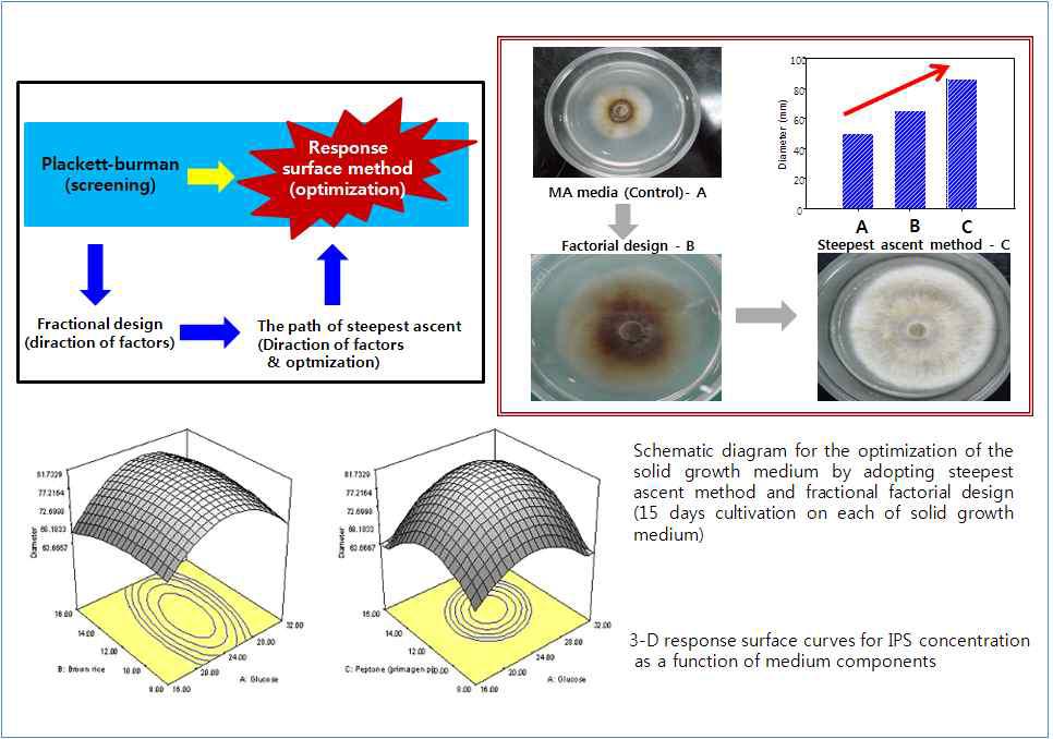 고생산성 균주의 신속선별을 위한 고체성장배지 최적화 체계 구축