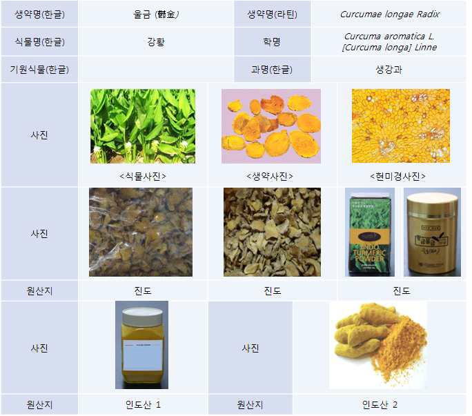 강황의 원재료 설명 및 구입 원물의 사진