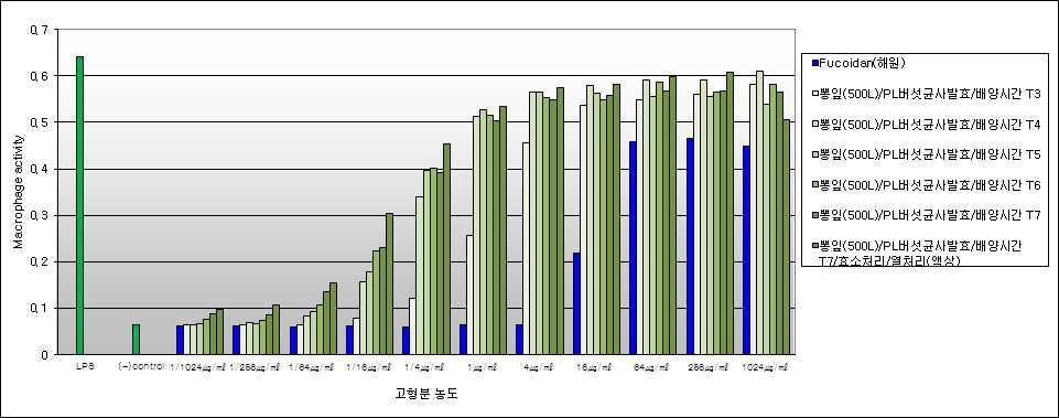 500L 3차 발효조배양에서 뽕잎발효산물의 면역활성 역가