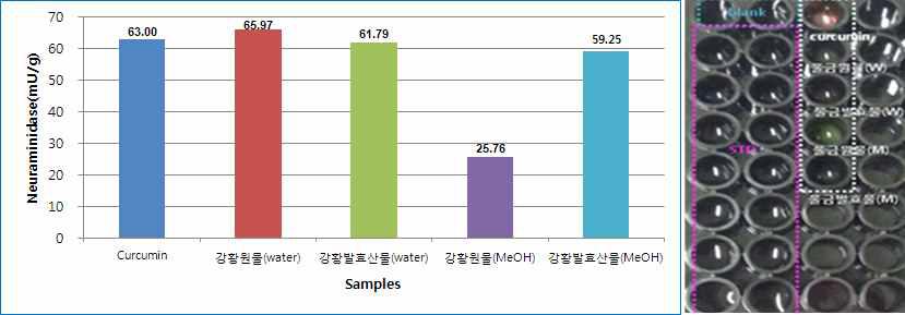 강황 원물 및 발효산물 추출물 시료의 neuraminidase 저해활성 결과