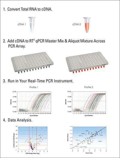 PCR array 분석 방법 모식도