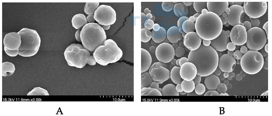 Scanning electron microphotographs of spray-dried microcapsules for peanut sprout extracts