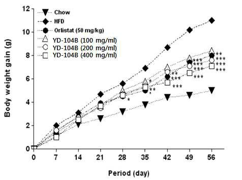 8주간 HFD 유도 및 YD-104B 투여군의 체중 변화