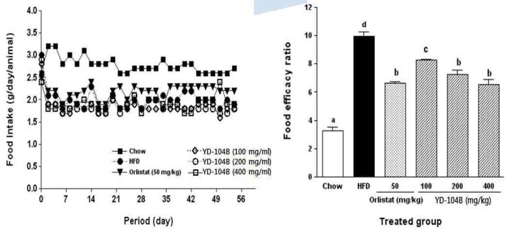 8주간 HFD 유도 및 Orlistat 또는 YD-104B 투여군의 식이 섭취량 및 식이효율