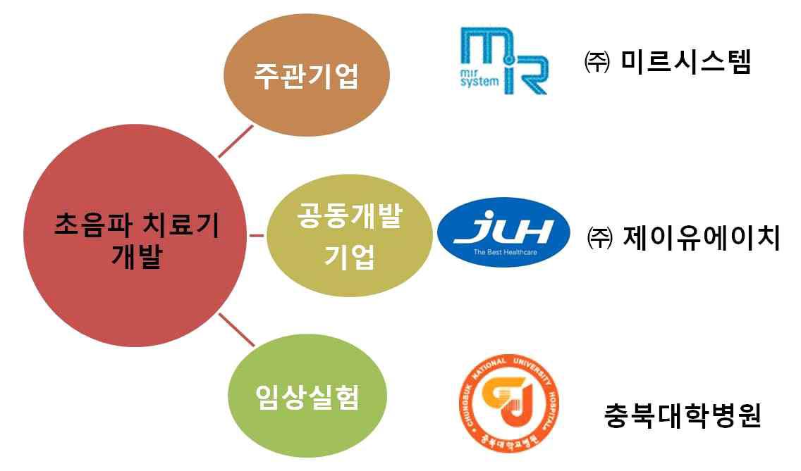 베디드 기반의 초음파 관절염 치료장치 기술개발 추진전략