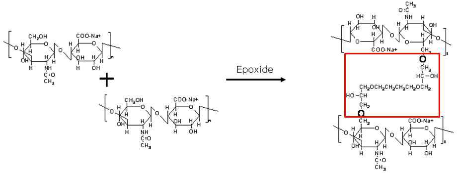 히알루론산과 가교제(1, 4-Butandiol diglycidyl ether ; BDDE)의 반응 구조