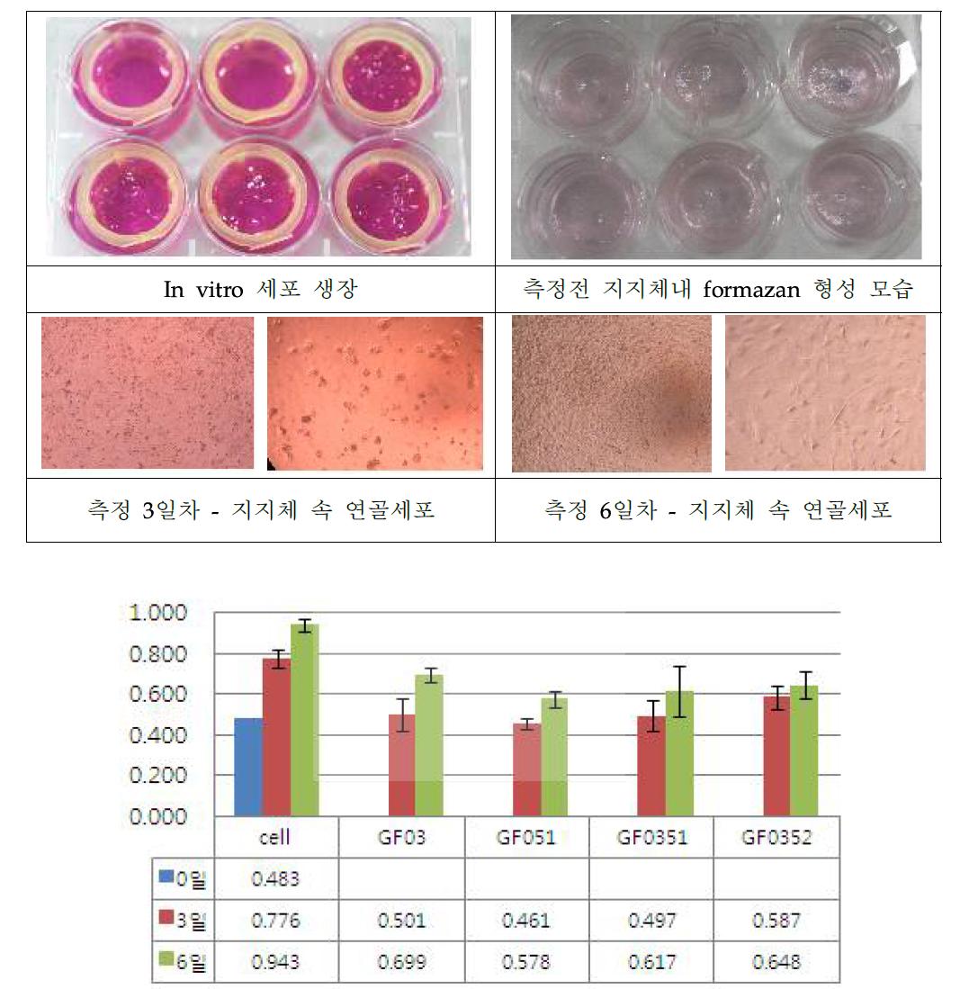 In vitro 세포 생장률 - 실험 과정 및 그래프