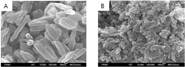 FE-SEM pictures of (A) standard and (B) synthetic sample.