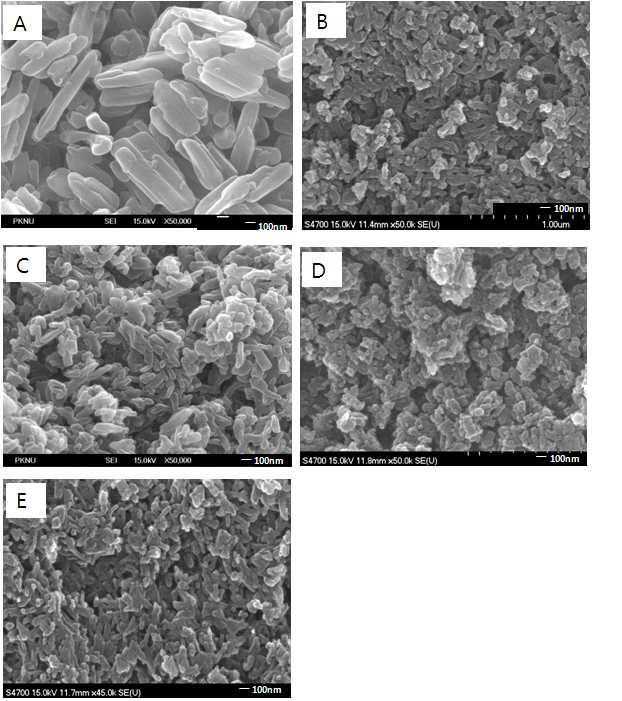 FE-SEM pictures of the samples prepared with various dispersing agent