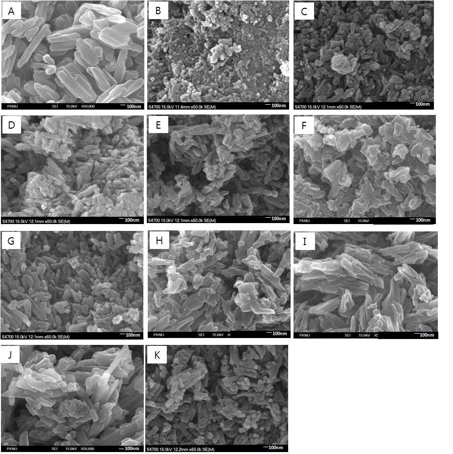 FE-SEM pictures of samples prepared with addition of various acetoacetanilidederivatives (83BDP1-10) during synthesis