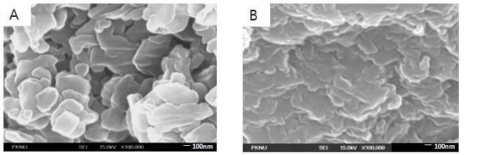 FE-SEM pictures of (A) standard and (B) synthetic sample.