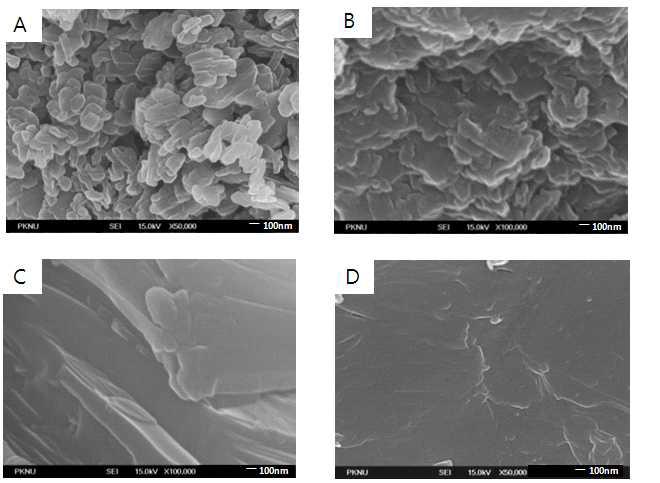 FE-SEM pictures of (A) standard sample and samples prepared with various mole ratio of diazo/couple; (B) 1:2, (C) 0.8:2, and (D) 0.5:2