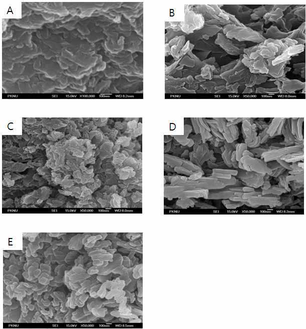 FE-SEM pictures of the samples prepared with various dispersing agent