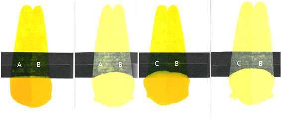 Color test of sample; (A) no post-treatment, (B) post-treatment with DMF, and (C) standard sample