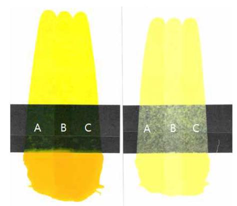 Color test of sample; (A) no post-treatment, (B) post-treatment with butanol+water, and (C) IPA + water