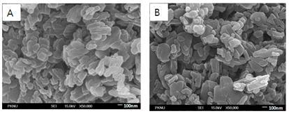 FE-SEM pictures of sample; (A) standard sample, (B) post-treatment with DMF