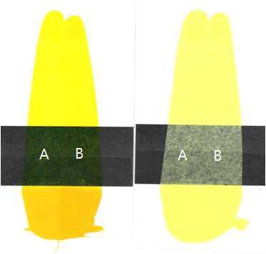 Color test of sample; (A) standard sample, (B) post-treatment with DMF