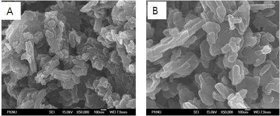 FE-SEM pictures of sample; post-treatment with (A) o-dichlorobenzene and (B) DMSO