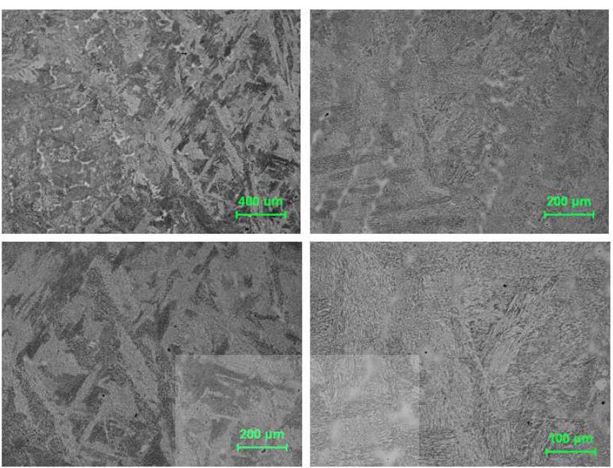 대상소재 시험용 시편제작품 미세조직관찰