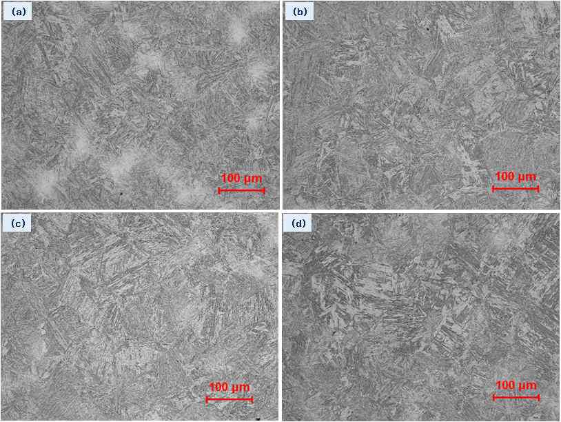 퀜칭 온도/ 유지시간/냉각조건에 따른 미세조직변화(열처리조건 : 990℃ / 1hr /A.C - 940℃ /W.Q ) (a) 30min. (b) 60min. (c) 120min. (d) 240min.