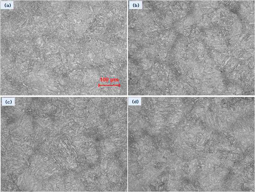 템퍼링 700℃ 에서 유지시간에 따른 미세조직변화(열처리조건 : 990℃ / 1hr /A.C - 960℃ /O,Q ) (a) 30min. (b) 60min. (c) 120min. (d) 240min