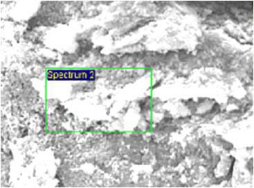 Nickel Chloride용액에서 [Ni2+]:[NaBH4]=1:6일 때 측정한 EDS 분석