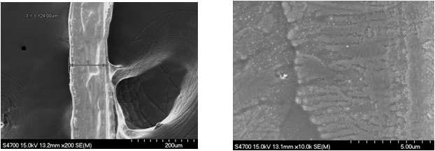 냉각드럼 회전속도 2,000rpm에서 생산된 금속섬유의 100배와 10,000배 배율의 FESEM 사진