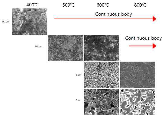 온도와 니켈입자의 크기에 따른 소결모양