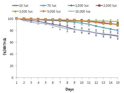 참게 메갈로파기의 조도에 따른 생존율