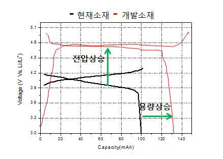 개발 목표의 개념도